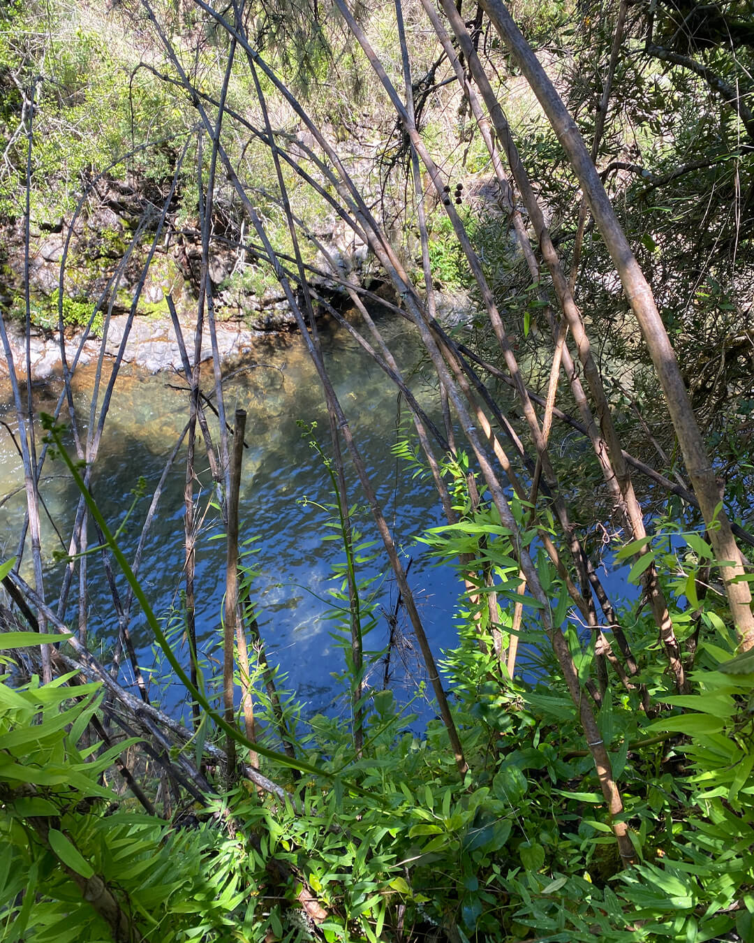 RUTA DEL CHEQUEN (1)