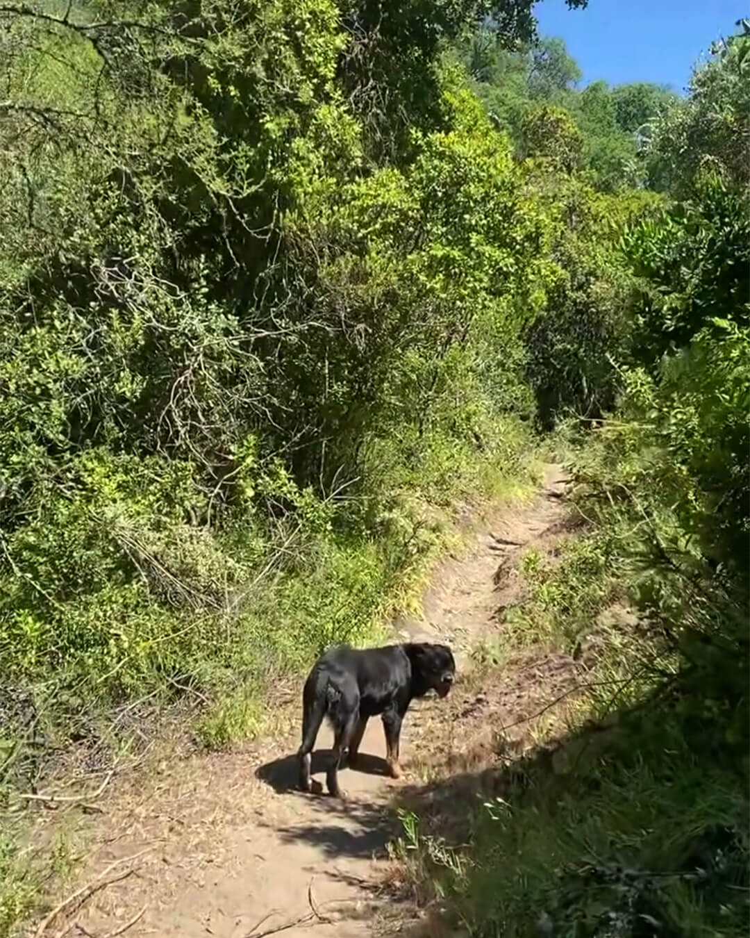 RUTA DEL CHEQUEN (3)